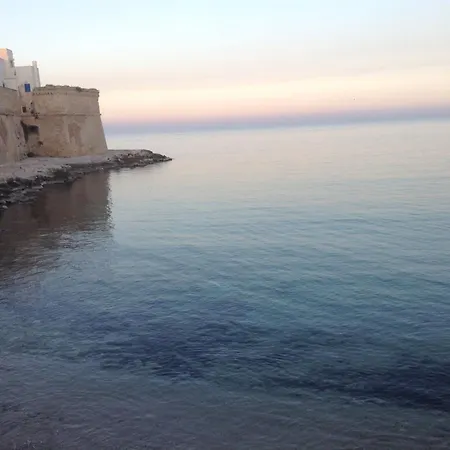 Casa Palmieri 2006 *