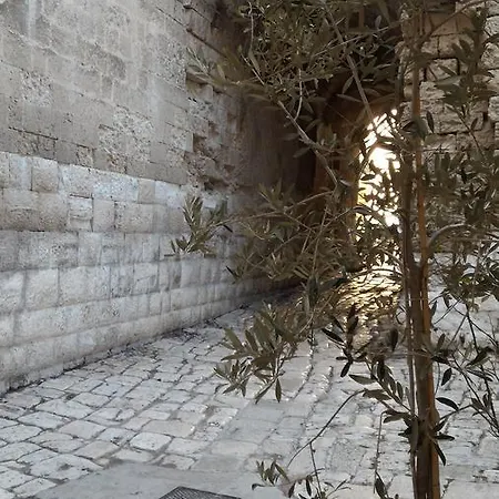 Casa Palmieri 2006 *